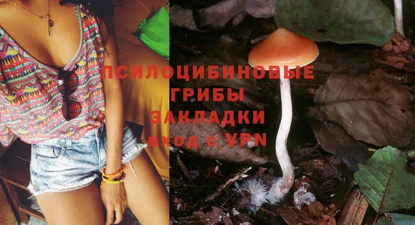 бутират Бугульма