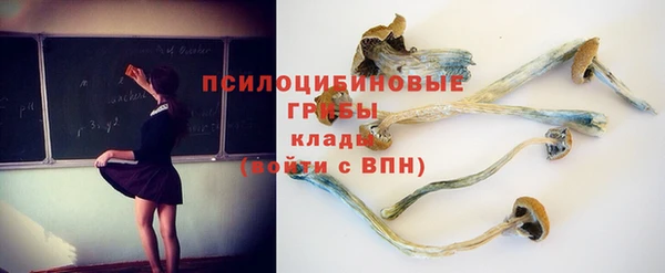 ALPHA-PVP Верхний Тагил